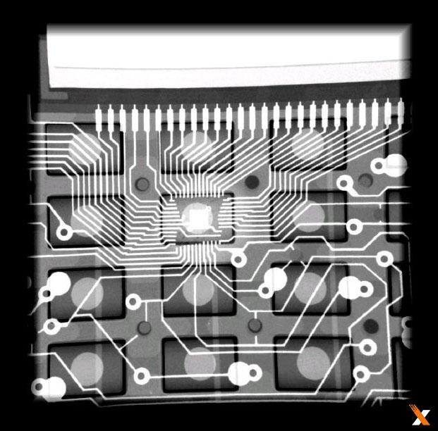 美國Faxitron生物學(xué)X射線小動物骨密度儀