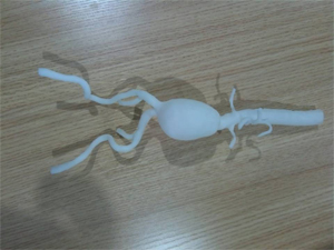 心血管手術(shù)模型