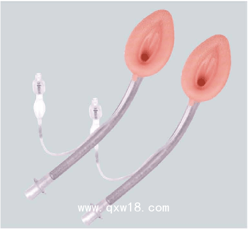 博美斯特 一次性使用醫(yī)用喉罩（喉罩氣道導(dǎo)管）