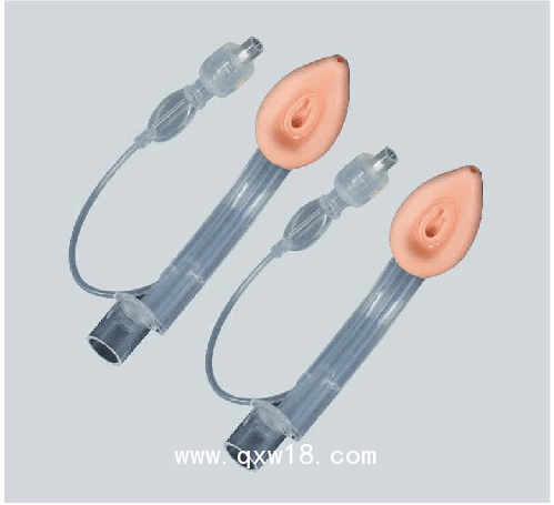 博美斯特 一次性使用醫(yī)用喉罩（喉罩氣道導(dǎo)管）