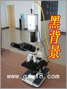 一滴血顯微鏡檢測(cè)儀(雙目)