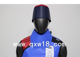 鉛衣,X射線防護(hù)服,原裝進(jìn)口鉛衣
