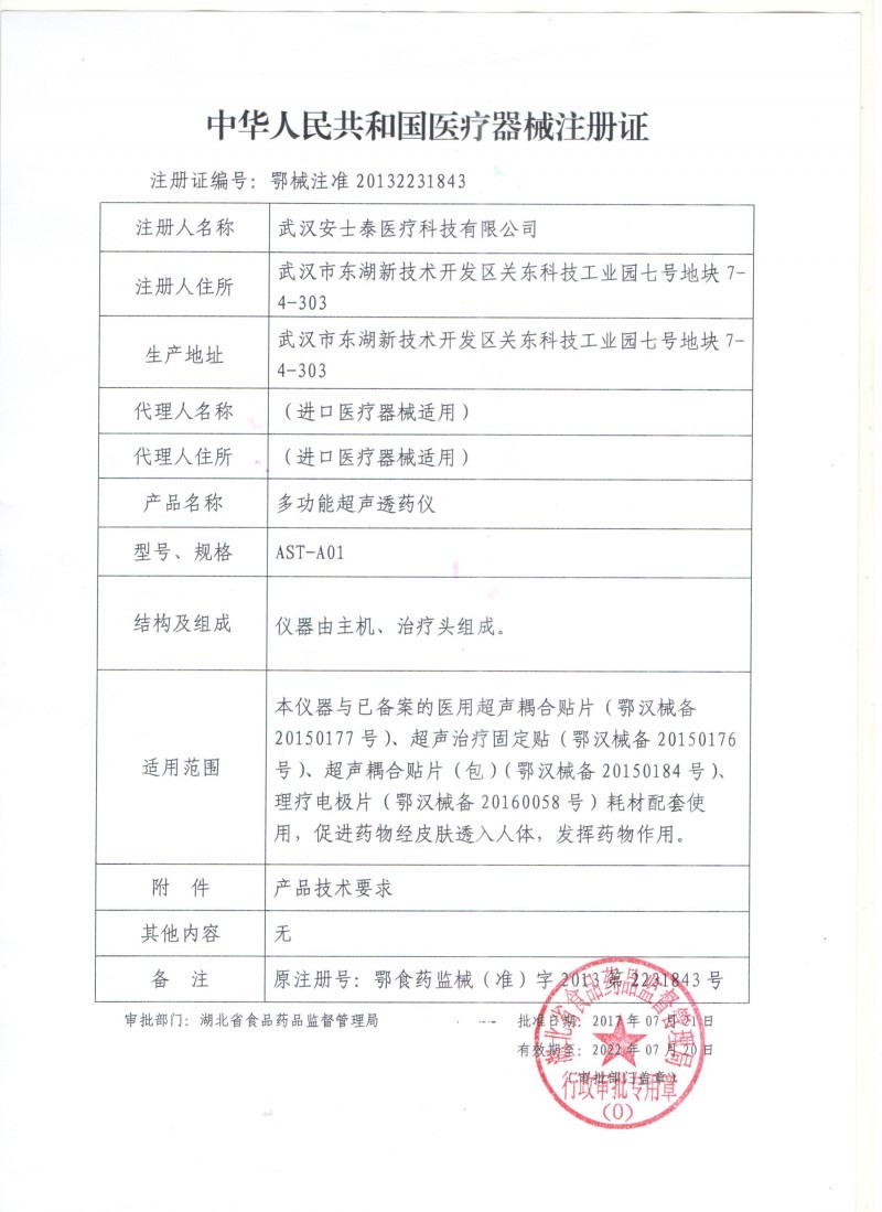 多功能超聲透藥儀