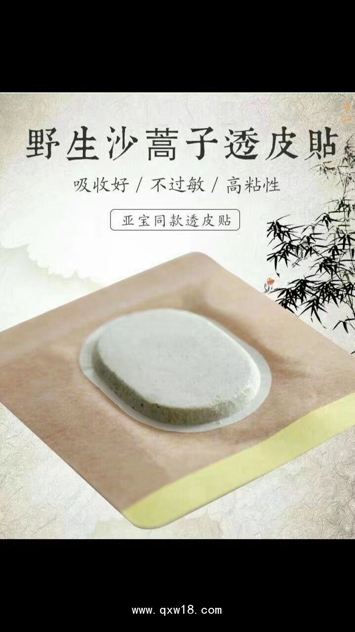 沙蒿子透皮貼