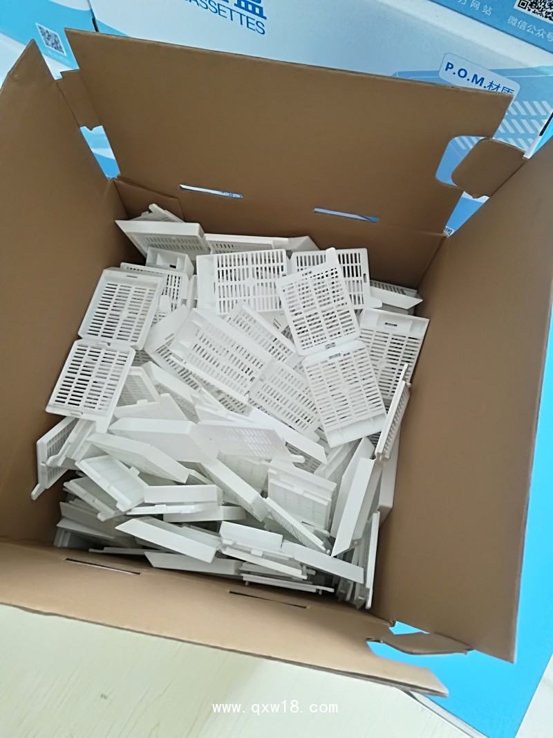 一次性組織包埋盒