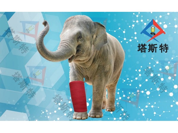 塔斯特高分子繃帶性價比高，強度高，重量輕，固化快