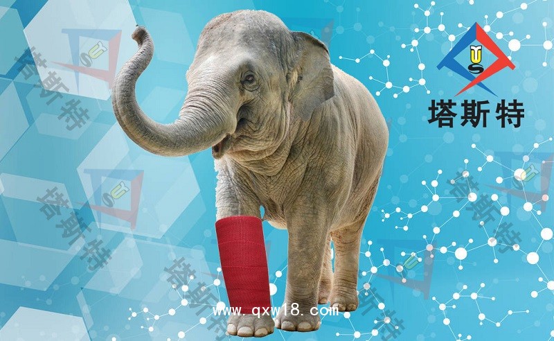 塔斯特新型外固定骨科耗材--繃帶