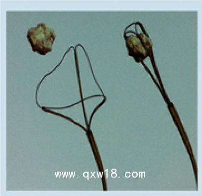 美國(guó)庫(kù)克 COOK取石網(wǎng)籃NGE-017115-MB