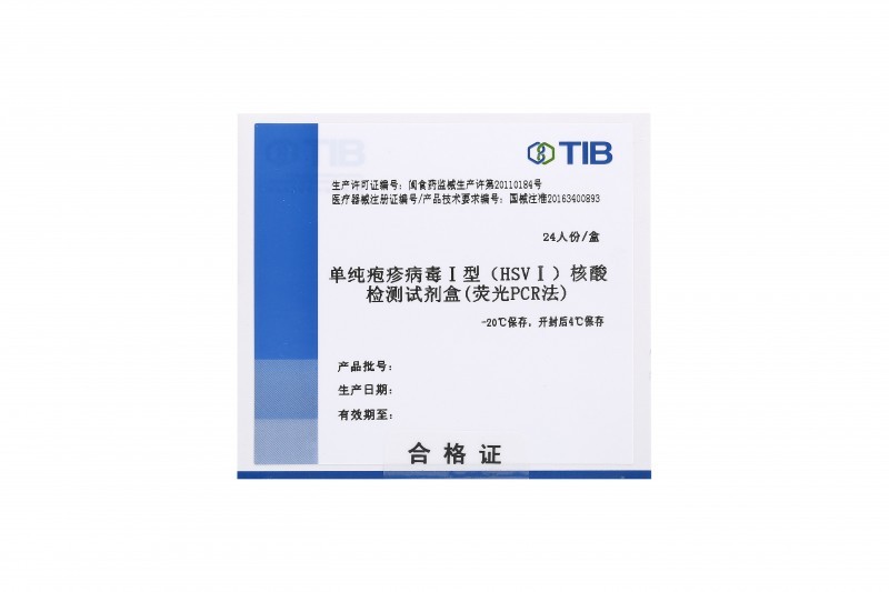 單純皰疹病毒Ⅰ型（HSV-Ⅰ）核酸檢測試劑盒