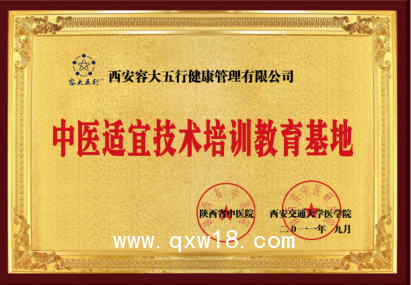 康復經(jīng)絡儀