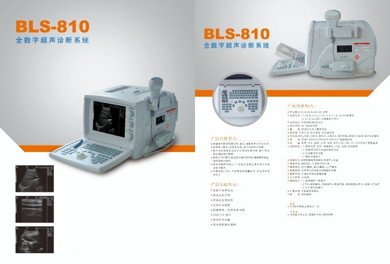 全數字超聲診斷系統(tǒng)
