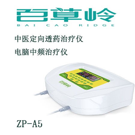 中藥離子導(dǎo)入治療儀-中頻康復(fù)理療儀