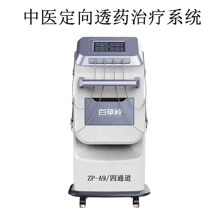 電腦中頻電療儀-中醫(yī)定向透藥儀