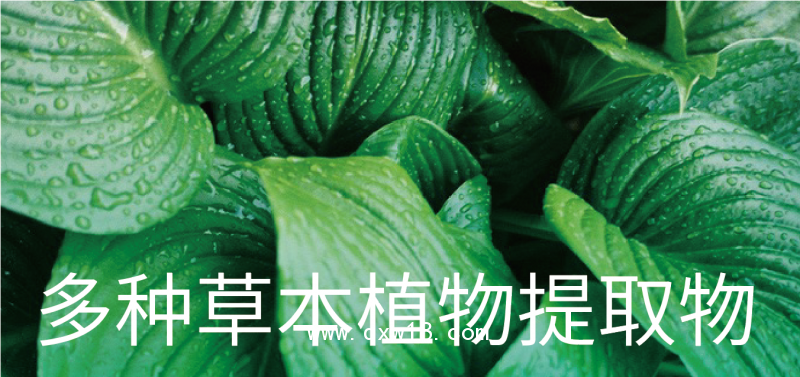 口咽露（噴劑敷料）