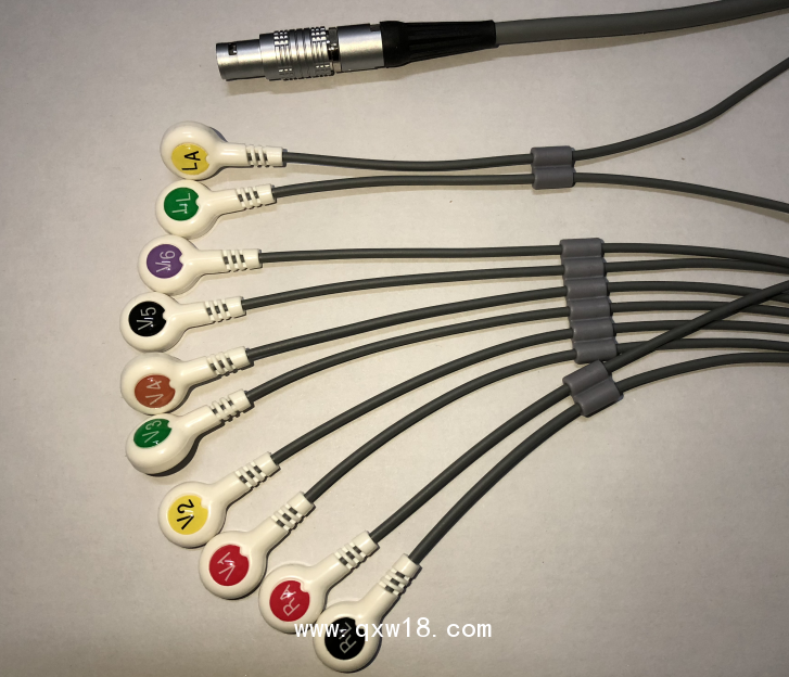 藍(lán)港動(dòng)態(tài)導(dǎo)聯(lián)線,holter十二導(dǎo)動(dòng)態(tài)心電線