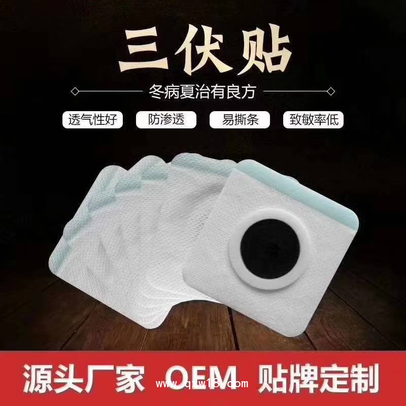 穴位型三伏貼