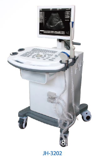 B型全數(shù)字超聲診斷儀生產(chǎn)供應(yīng)商
