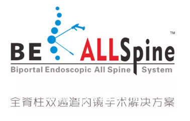 UBE 進(jìn)口雙通道手術(shù)醫(yī)療器械 德國(guó)費(fèi)格椎間空境