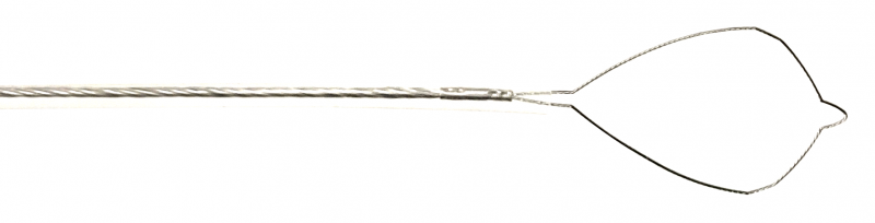 一次性使用電圈套器