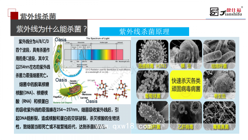 江陰健仕福公司產(chǎn)品宣傳展示PPT_18