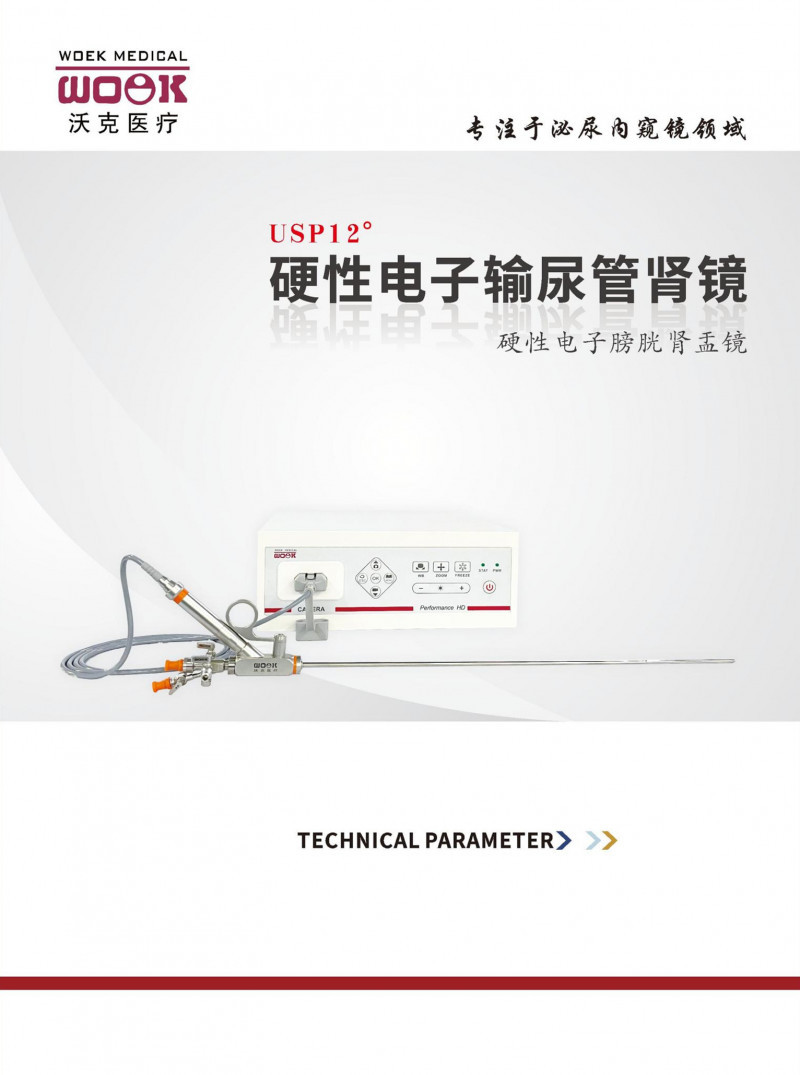 獨(dú)創(chuàng)新品 硬性電子輸尿管腎鏡 全國(guó)火熱招商中