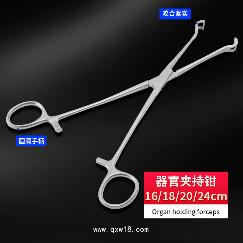 德國(guó)不銹鋼制成器官夾持鉗 基礎(chǔ)外科夾持鉗 無損傷夾持鉗醫(yī)用鉗