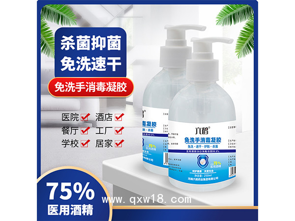六鶴免洗凝膠洗手液250ml含75%酒精消毒凝膠免洗手液