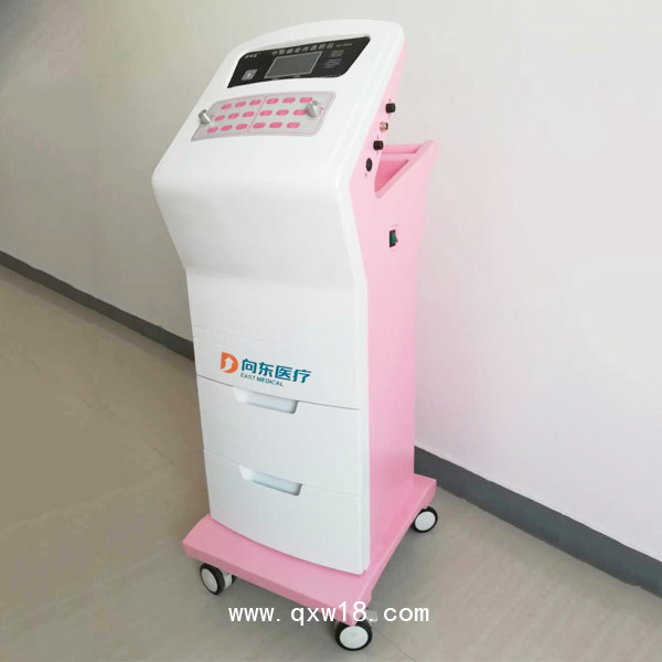 中低頻定向透藥儀