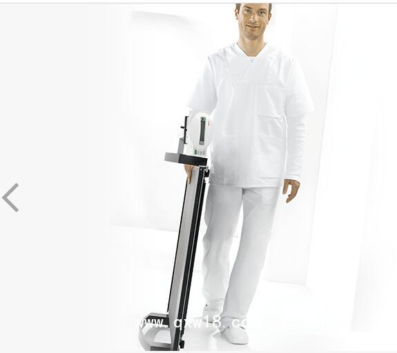 賽康seca 665型輪椅秤