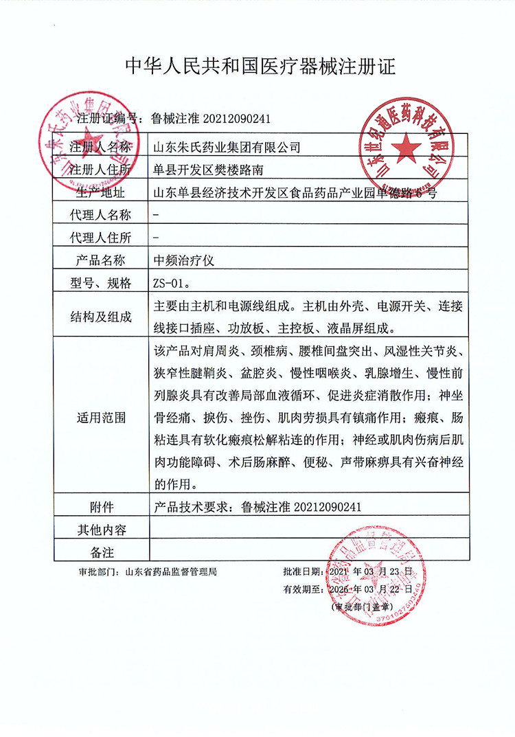 東貝中頻治療儀中頻脈沖多模式