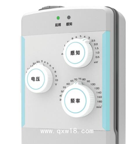 先健 臨時(shí)起搏器 6108