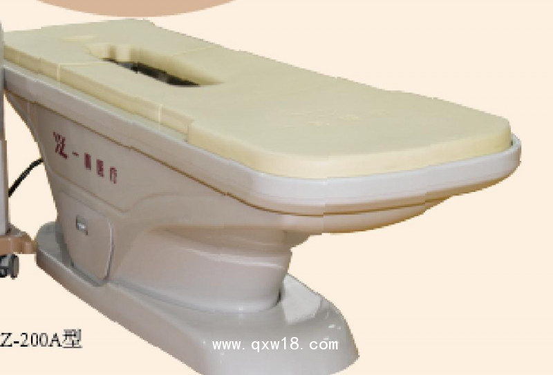 一真 熏蒸床 YZ-200A