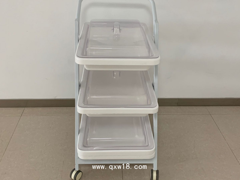 內(nèi)鏡轉(zhuǎn)運(yùn)車(chē)雙層三成小推車(chē)