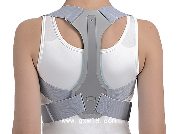 姿勢邦背部固定器