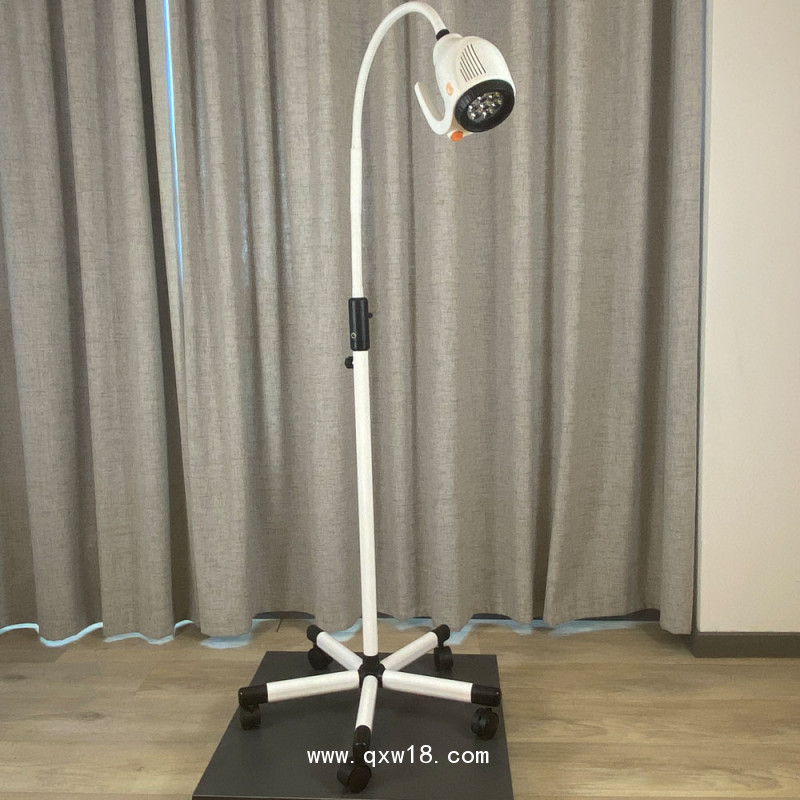 21WLED大把手鵝頸軟管醫(yī)用門診婦檢微整移動(dòng)檢查手術(shù)照明燈