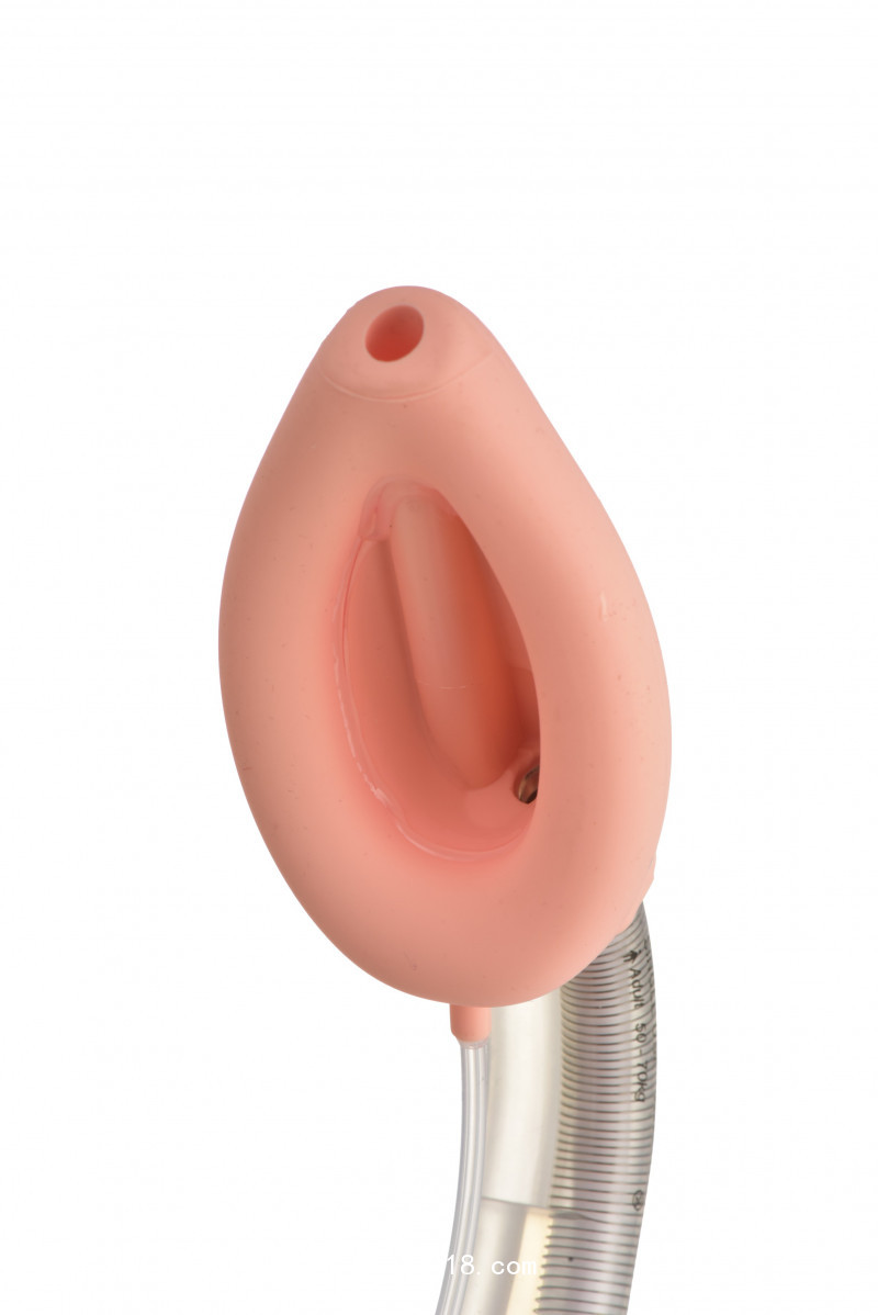 （麻醉）無菌雙腔型喉罩