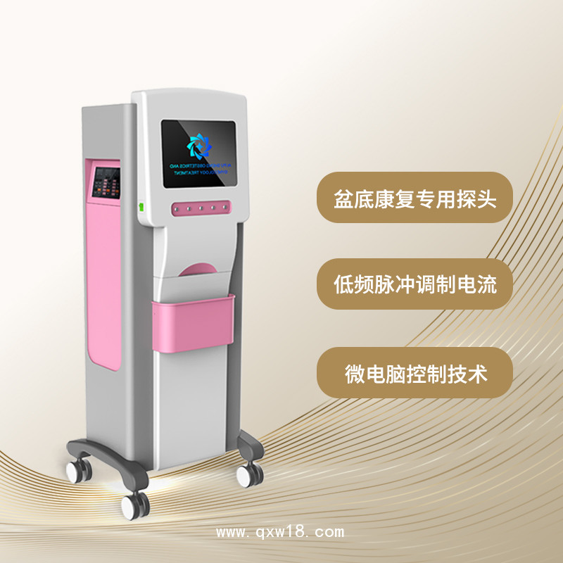 婦科治療儀  婦科疾病治療儀 婦科炎癥護(hù)理儀