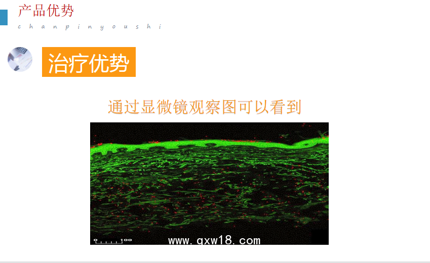  超聲電導(dǎo)透藥儀