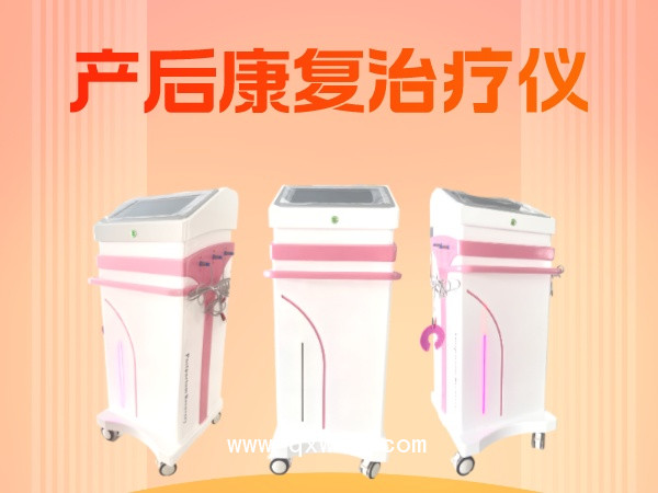 婦科綜合理療儀 產(chǎn)后康復(fù)治療儀