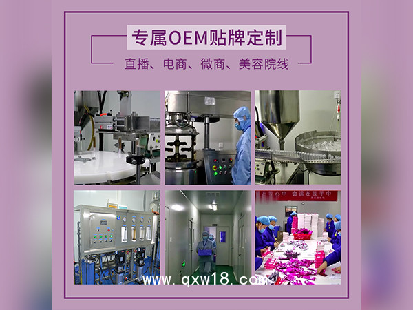 婦科凝膠貼牌消炎排毒私處護(hù)理凝膠廠家私密產(chǎn)品OEM