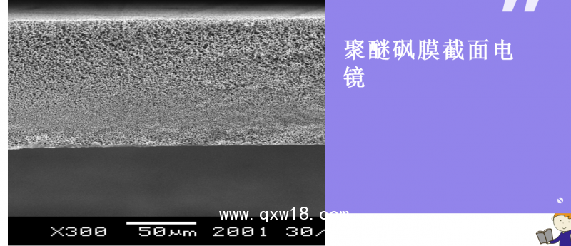 聚醚砜膜 0.2微米精密藥液過濾器