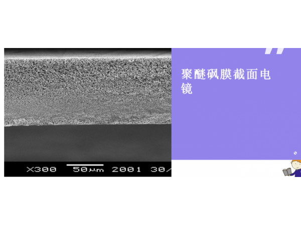 聚醚砜膜 一次性使用精密藥液過濾器