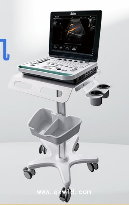 凱爾便攜式彩超機 KR-E80-D