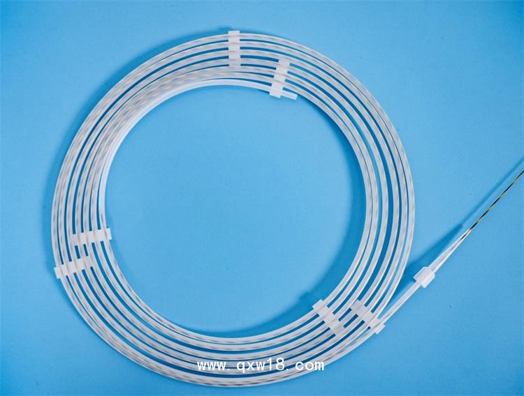 消化內(nèi)窺鏡用一次性導(dǎo)絲，生產(chǎn)廠家，量大貼牌代加工