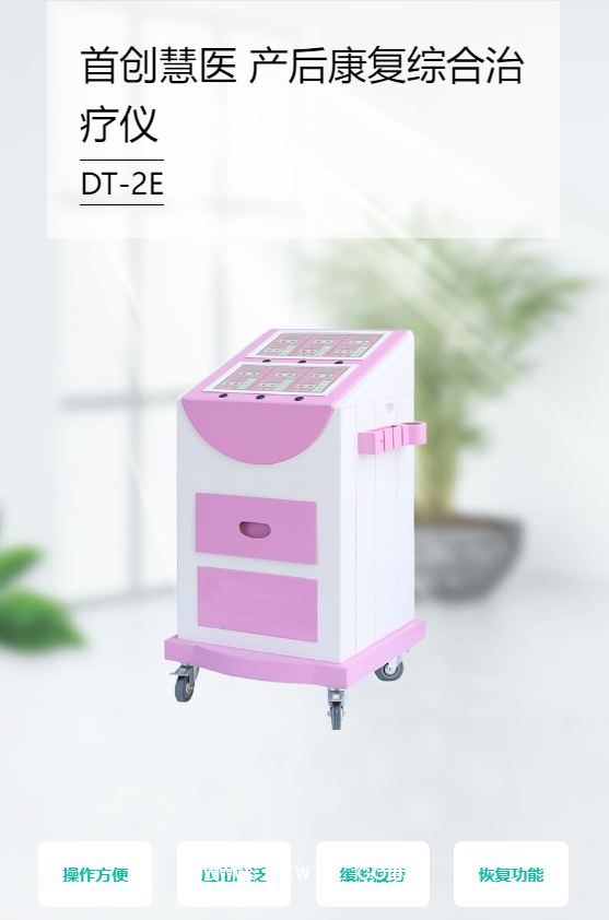 首創(chuàng)慧醫(yī) 產(chǎn)后康復(fù)綜合治療儀 DT-2E