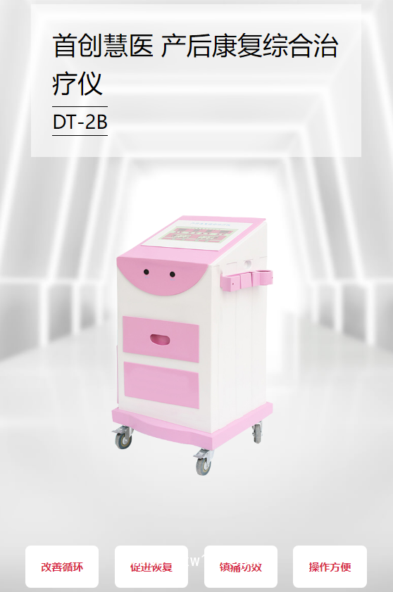 首創(chuàng)慧醫(yī) 產(chǎn)后康復綜合治療儀 DT-2B