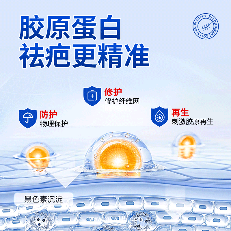 重組膠原蛋白修復(fù)敷料