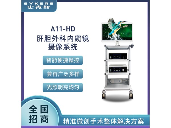 SYKERS 史克斯內(nèi)窺鏡  肝膽外科內(nèi)窺鏡 高清內(nèi)窺鏡攝像系統(tǒng)