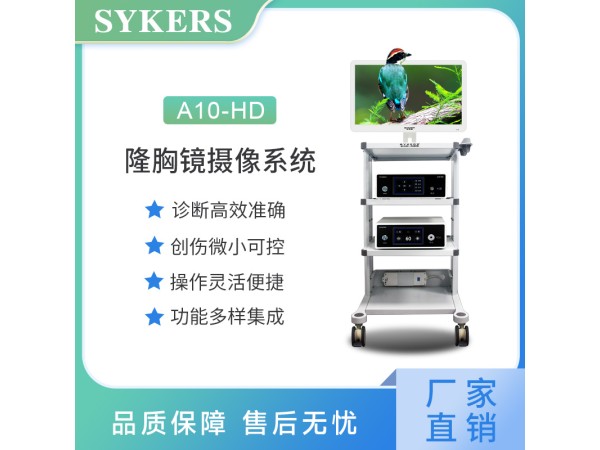 SYKERS 史克斯內(nèi)窺鏡  隆胸鏡攝像系統(tǒng) 高清內(nèi)窺鏡攝像系統(tǒng)