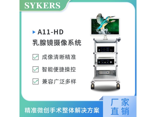SYKERS 史克斯內(nèi)窺鏡 乳腺鏡攝像系統(tǒng)